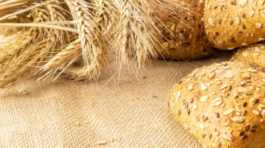 Somun ekmek. Çavdar ekmeği ve ekmek kırıntılarıyla. Buğday tohumu kulaklı bir somun taze ekmek ya da doğal pamuk arka planında çivili bitki. Biyolojik malzemeler, çok sağlıklı tohumlar.