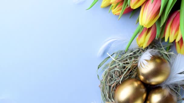 金黄色的彩蛋 篮子里有春天的郁金香 白色的羽毛 背景为淡蓝色 装饰为复活节快乐 春假顶级观景概念 — 图库视频影像