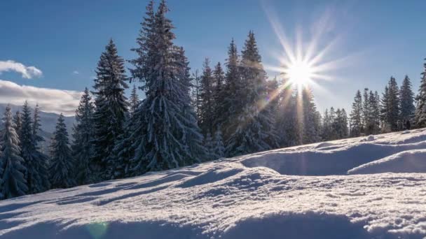 Zimowy Krajobraz Egzotyczny Panoramiczny Widok Śnieżnym Lasem Zimowym Chmurami Mroźny — Wideo stockowe