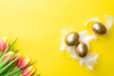 Paskalya yumurtası sepeti. Bahar laleli altın yumurta sepette, pastel sarısı arka planda beyaz tüyler Mutlu Paskalya süslemesinde. Geleneksel güneş ışığı dekorasyonu. Üst görünüm