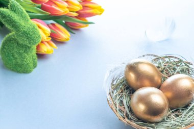 Bahar laleli Paskalya Altın Yumurtaları, Mutlu Paskalya dekorasyonunda pastel mavi arka planda beyaz tüyler. Bahar tatili kavramı