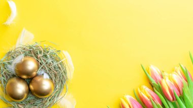 Paskalya yumurtası sepeti. Bahar laleli altın yumurta sepette, pastel sarısı arka planda beyaz tüyler Mutlu Paskalya süslemesinde. Geleneksel güneş ışığı dekorasyonu. Üst görünüm