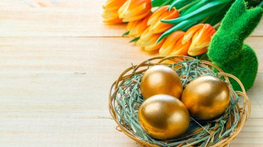 Bahar laleli altın Paskalya yumurtaları, Mutlu Paskalya süslemelerinde ahşap arka planda beyaz tüyler. Bahar tatili kavramı