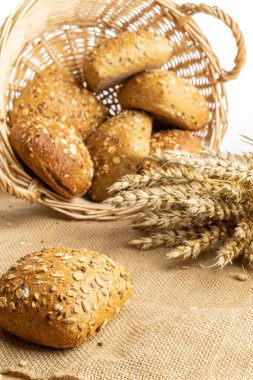 Baget ekmeği. Çavdar ekmeği ve ekmek kırıntılarıyla. Buğday tohumu kulaklı bir somun taze ekmek ya da doğal pamuk arka planında çivili bitki. Konsept - Evde Yemek Pişirme