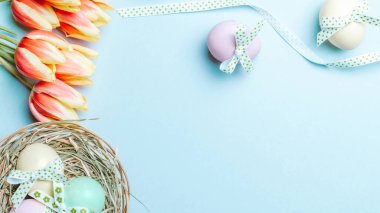 Paskalya altını. Şerit kurdeleli renkli yumurta, bahar laleleri, Mutlu Paskalya dekorasyonunda pastel mavisi arka planda tüyler. Üst görünümde geleneksel tasarım