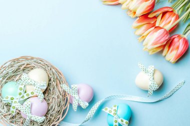 Paskalya altını. Şerit kurdeleli renkli yumurta, bahar laleleri, Mutlu Paskalya dekorasyonunda pastel mavisi arka planda tüyler. Üst görünümde geleneksel tasarım