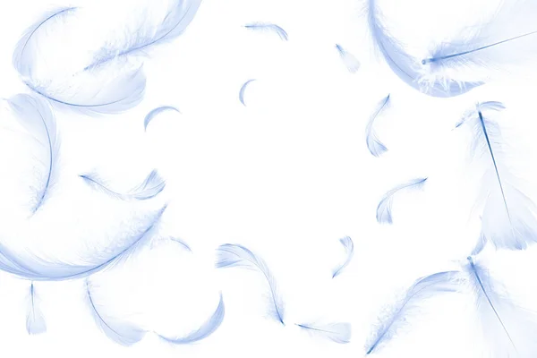 Φτερό Απομονωμένο Αφηρημένη Υφή Πούπουλου Closeup Πτώση Λευκό Φόντο Στη — Φωτογραφία Αρχείου