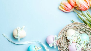 Paskalya altını. Şerit kurdeleli renkli yumurta, bahar laleleri, Mutlu Paskalya dekorasyonunda pastel mavisi arka planda tüyler. Üst görünümde geleneksel tasarım