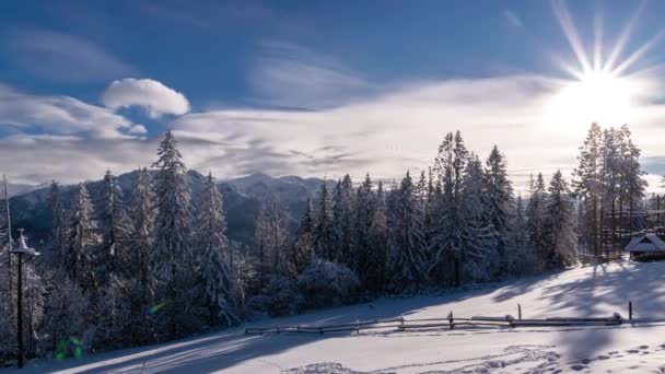 Neve Montanha Vista Panorâmica Ventosa Exótica Com Floresta Inverno Montanha — Vídeo de Stock