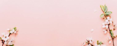 Kiraz ağacı çiçeği. Nisan çiçekleri ve bahar çiçekleri yumuşak pembe arka planda çiçek açarlar. 8 Mart bayrağı, mesaj için yeri olan mutlu Paskalyalar. İlkbahar konsepti. Üst Manzara. Düz yatıyordu