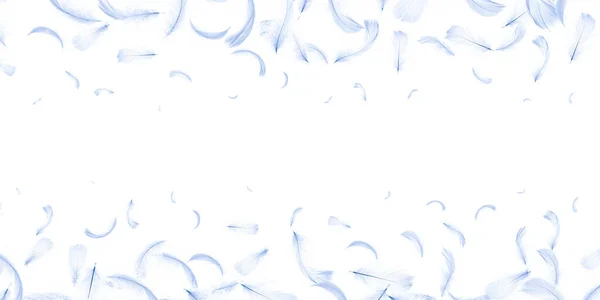 Koncepcja Piór Pastelowe Anielskie Pióro Strukturze Wzoru Spadające Białe Tło — Zdjęcie stockowe