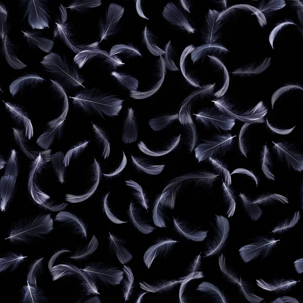 Pióro Czarne Biały Pastelowy Anioł Pióro Zbliżenie Tekstury Spada Czarne — Zdjęcie stockowe