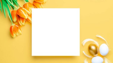 Paskalya çerçevesi. Bahar laleleriyle sepetin içinde altın, beyaz yumurta, Mutlu Paskalya dekorasyonunda pastel sarısı arka planda tüyler. Düzlükte şenlik tasarımı