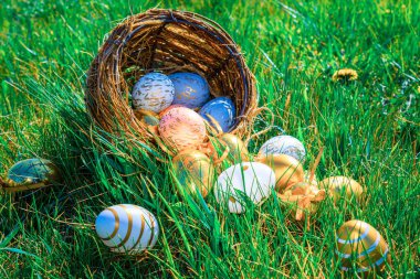 Paskalya yumurtası tavşanı. Sarı bahar çiçekli altın yumurta yeşil çimen arka planda kutlama sepetinde. Geleneksel güneş ışığı dekorasyonu