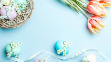 Paskalya altını. Şerit kurdeleli renkli yumurta, bahar laleleri, Mutlu Paskalya dekorasyonunda pastel mavisi arka planda tüyler. Üst görünümde geleneksel tasarım