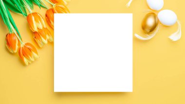 Paskalya laleleri. Bahar laleleriyle sepetin içinde altın, beyaz yumurta, Mutlu Paskalya dekorasyonunda pastel sarısı arka planda tüyler. Üst görünümde geleneksel tasarım