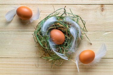 Bahar laleleri olan doğal paskalya yumurtaları, Mutlu Paskalya dekorasyonunda ahşap masa zemininde beyaz tüyler. Bahar tatili üst görünüm kavramı