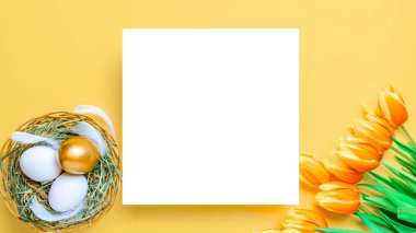 Paskalya doğası. Bahar laleleriyle sepetin içinde altın, beyaz yumurta, Mutlu Paskalya dekorasyonunda pastel sarısı arka planda tüyler. Düzlükte şenlik tasarımı