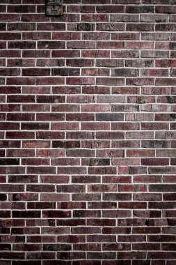 Boya kabuğu dokusu. Çimento desenli arka planda eski bir taş. Klasik grunge alçı ya da beton sıva yüzeyi. Soyut Web Afişi. Boşluğu Kopyala