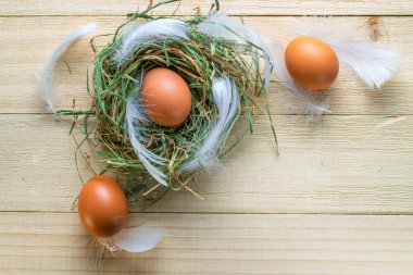 Paskalya yumurtası. Mutlu Paskalya süslemeleri: sepetteki doğal renkli yumurtalar, bahar laleleri, ahşap masa arkasında beyaz tüyler. Geleneksel güneş ışığı dekorasyonu. Üst görünüm