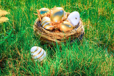 Paskalya sepeti yumurtaları. Sarı bahar çiçekli altın yumurta yeşil çimen arka planda kutlama sepetinde. Geleneksel güneş ışığı dekorasyonu
