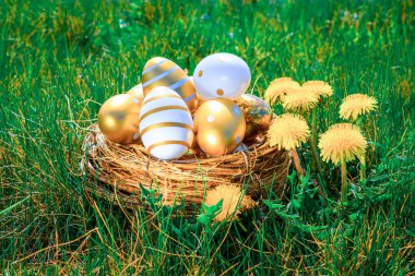 Paskalya sepeti tavşanı. Sarı bahar çiçekli altın yumurta yeşil çimen arka planda kutlama sepetinde. Şenlik dekorasyonu. Mutlu Paskalyalar