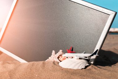 Deniz arka planı. Deniz yıldızı, deniz kabukları, oyuncak uçak ve karatahtanın yanındaki okyanus doğası plajı. Yaz tatili ve ürün reklamları konsepti