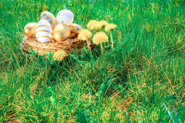 Yumurtalı Paskalya sepeti. Sarı bahar çiçekli altın yumurta yeşil çimen arka planda kutlama sepetinde. Paskalya dekorasyonu, folyo minimalist yumurta tasarımı, modern tasarım şablonu