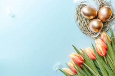 Sepet paskalya süslemesi: Bahar laleli altın yumurtalar, pastel mavi arka planda beyaz tüyler. Kutlama paskalya tasarımı. Üst görünüm