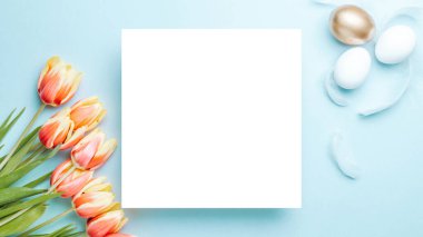 Easter Golden eggs in basket with spring tulips, white feathers on pastel blue background in Happy Easter decoration. Spring holiday flat lay concept