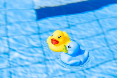 Toy rubber duck. Yellow, blue inflatable plastic toy for kids swim in water of summer pool. Hello summer concept