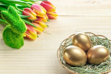 Bahar laleli Paskalya yumurtası sepette, ahşap arka planda beyaz tüyler Mutlu Paskalya süslemesinde. Şenlikli dekorasyon