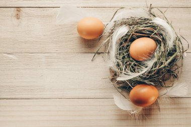 Paskalya sembolü. Bahar laleleri ile sepetin içinde doğal renginde yumurtalar, Mutlu Paskalya süslemelerinde ahşap masa zemininde beyaz tüyler. Tebrikler Paskalya düzlüğü tasarımı