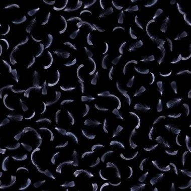 Tüysüz desen dokusu. Desen fotoğrafçılığında doğa soyut kuş tüyü yakın plan koyu arkaplan üzerine düşer. Göz kamaştırıcı, sofistike, siyah üzerine izole edilmiş hava sanatsal görüntü.