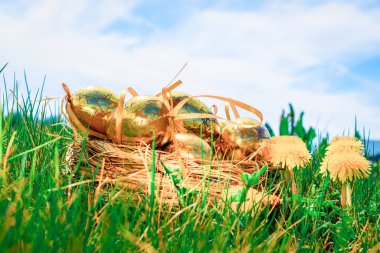 Paskalya yumurtaları beyaz arka plan. Sarı bahar çiçekli altın yumurta yeşil çimlerin üzerinde kutlama sepeti. Şenlik dekorasyonu. Mutlu Paskalyalar