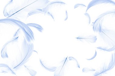 Tüy düz. Pastel melek tüyü beyaz arka plana dökülüyor. Moda renk trendleri bahar mevsimi