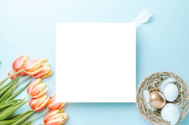 Paskalya yumurtaları. Bahar laleli altın, beyaz yumurta sepeti, Mutlu Paskalya dekorasyonunda pastel mavi arka planda tüyler. Folyo minimalist yumurta tasarımı, modern üst görünüm şablonu