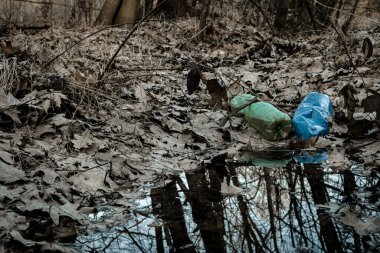 Ormandaki çevre ve plastik çöpler. Çöpler, çöpler, ormanda israf. Boş büyük şehir şişeleri ile ekolojik sorun