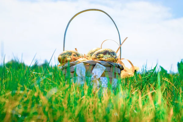 Easter basket with eggs. Golden egg with yellow spring flowers in celebration basket on green grass background. Easter decoration, foil minimalist egg design, modern design template