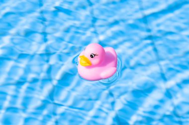 Kauçuk ördek. Komik çocuklar yaz havuzunun mavi sularında yüzer. Yaz konsepti arka planı