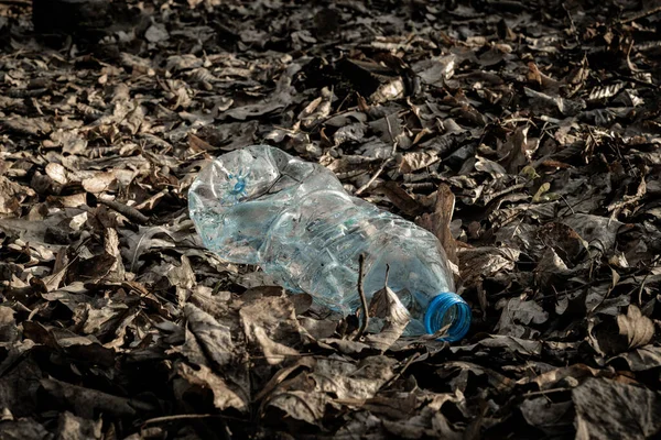Environmental protection. Garbage trash in environment. Plastic waste rubbish in forest, woodland. Empty used dirty bottles. Ecological problem
