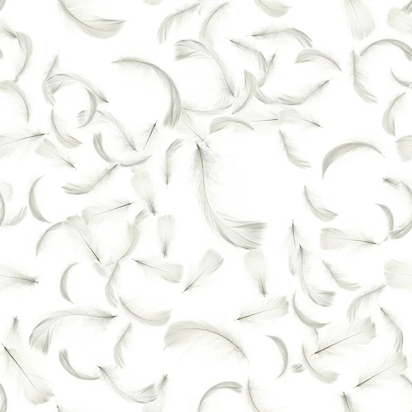 Перо Изолировано Абстрактная Текстура Птичьего Пера Крупным Планом Падает Белый — стоковое фото