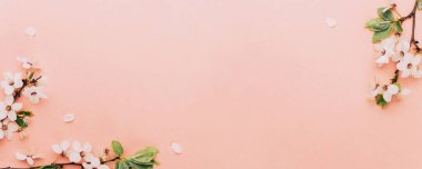 Çiçek açan Sakura arka planı ve pembe çiçekli Nisan çiçeği. Çiçek açan ağaçla güzel bir sahne. Paskalya güneşli bir gün. Meyve bahçesi arkaplanı bulanık. İlkbahar