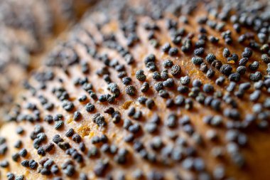Buğday ekmeği. Makro fotoğrafçılık şablonunda haşhaş tohumlu bir somun taze kır ekmeği. Çavdar ekmeği ve ekmek kırıntılarıyla. Ev yapımı pişirme.