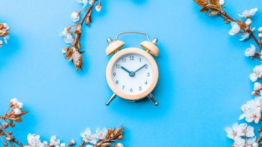 Kiraz ağacı çiçeği. Nisan çiçekleri ve bahar çiçekleri yumuşak mavi arka planda çalar saat çiçekleri. 8 Mart bayrağı, mesaj için yeri olan mutlu Paskalyalar. İlkbahar konsepti