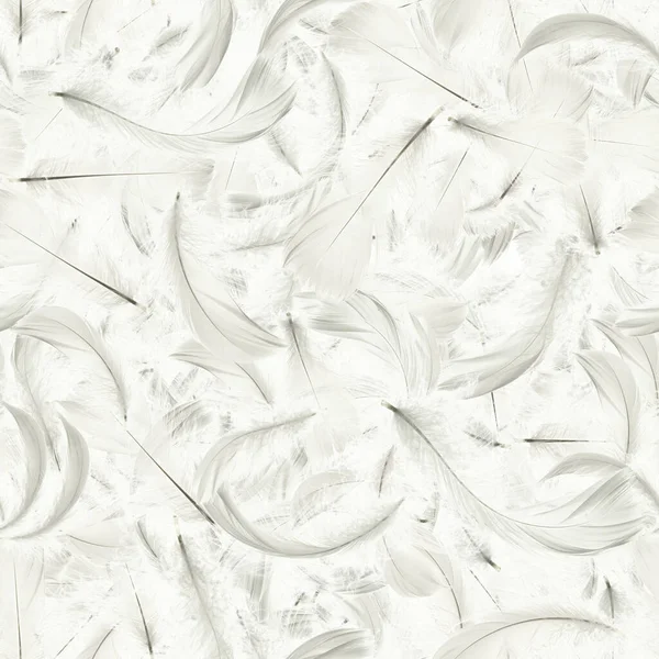 Pióro Odizolowane Streszczenie Ptaków Pióro Tekstury Zbliżenie Spada Białym Tle — Zdjęcie stockowe