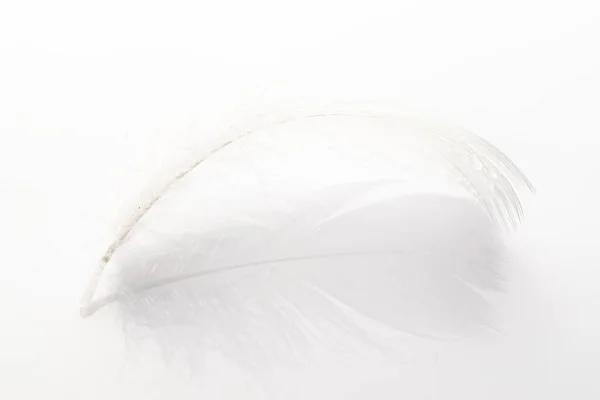 Péro Ploché Pestrobarevný Pastelový Anděl Péro Detailní Textura Bílém Pozadí — Stock fotografie