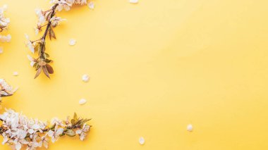 Arka plandaki bahar masası. Çiçekler ve Nisan çiçekleri pembeye. Sancak olarak, arka planda çiçek açan kiraz dalları. Rüya gibi romantik bir görüntü, manzara manzarası, kopyalama alanı