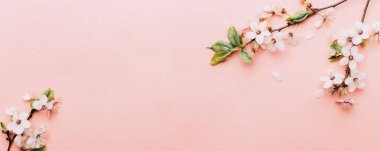 Çiçeklerin açtığı bahar pembesi ve çiçek açan ağaçlarla dolu güzel bir sahnede Nisan çiçekleri. Paskalya güneşli bir gün. Meyve bahçesi arkaplanı bulanık. İlkbahar