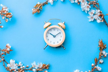 Çiçek açan Sakura arka planı ve mavi alarmlı Nisan çiçeği. Çiçek açan ağaçla güzel bir sahne. Paskalya güneşli bir gün. Meyve bahçesi arkaplanı bulanık. İlkbahar